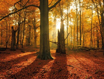 Finance Shop Quarterly Review Autumn image