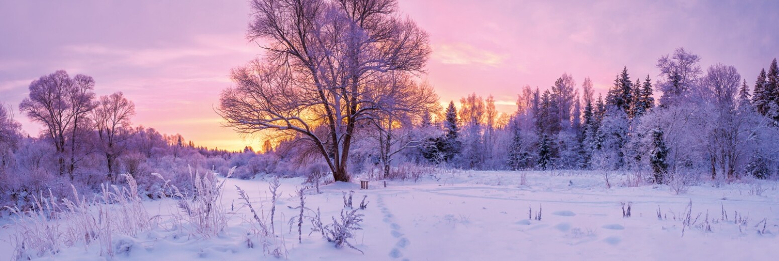 Finance Shop Quarterly Review Winter 2018 downsaved 003