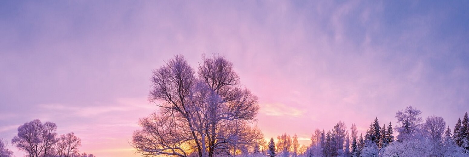 Finance Shop Quarterly Review Winter 2018 downsaved 4